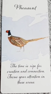Divine Feather Messenger
